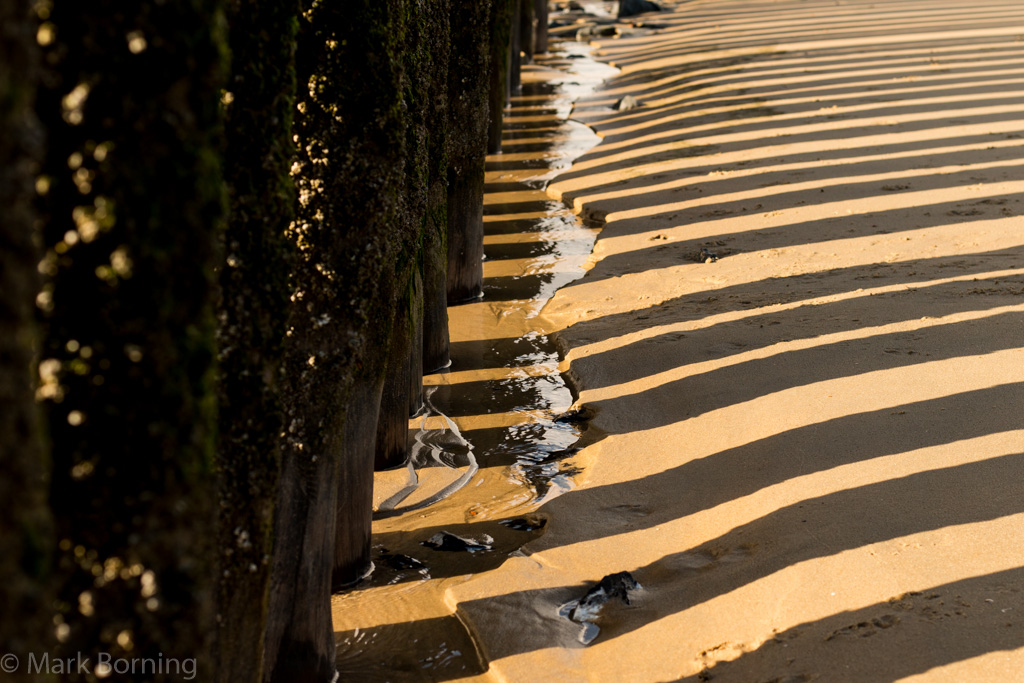 Ebbe an der Schelde