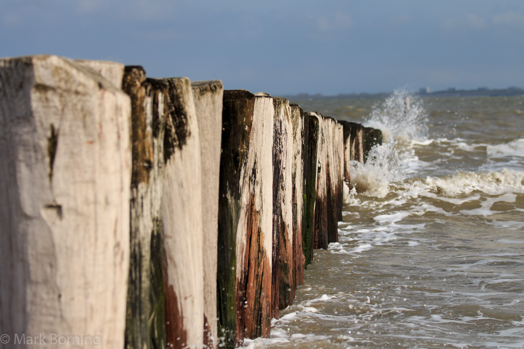 Flut an der Schelde