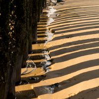 Ebbe an der Schelde