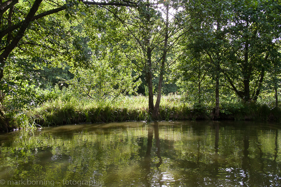 Weiher