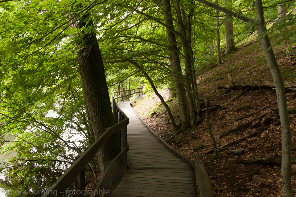 Weg im Nationalpark Söderåsen