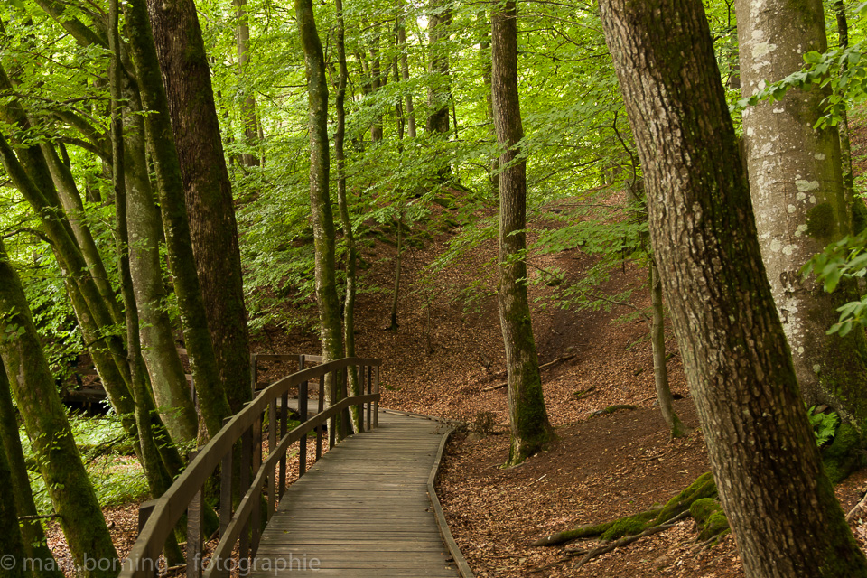 Weg im Nationalpark Söderåsen