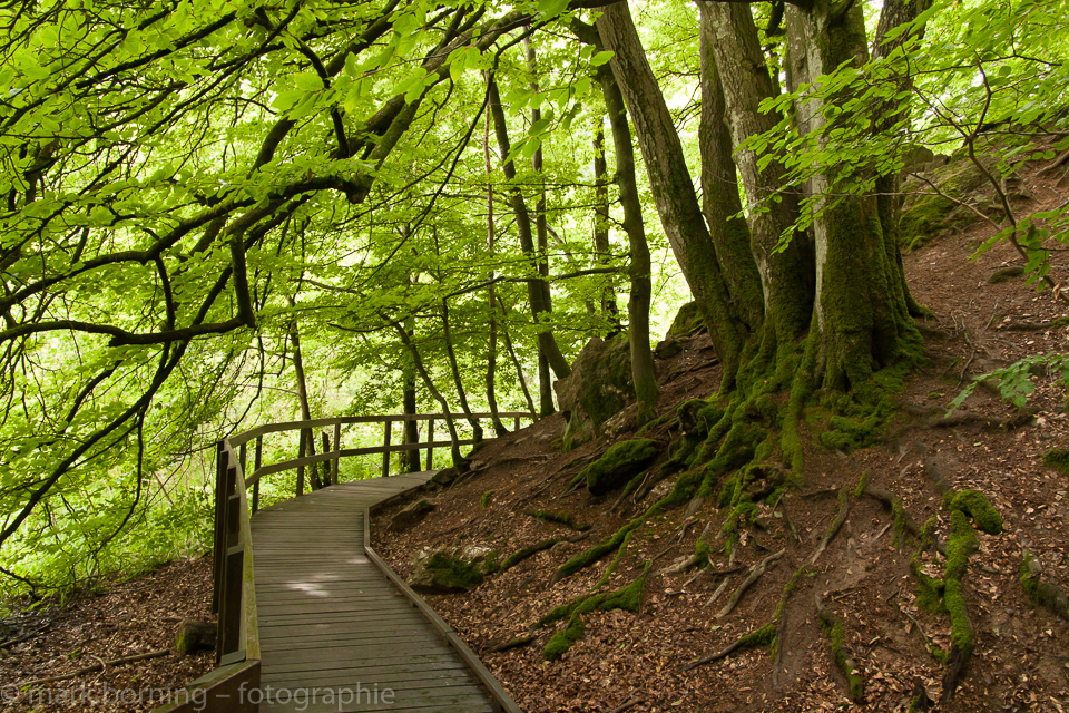 Weg im Nationalpark Söderåsen