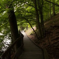 Söderåsen Nationalpark