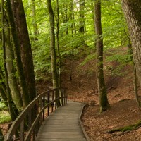 Söderåsen Nationalpark