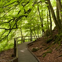 Söderåsen Nationalpark