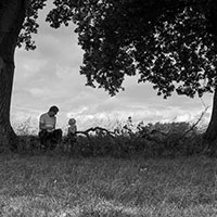 In the fields